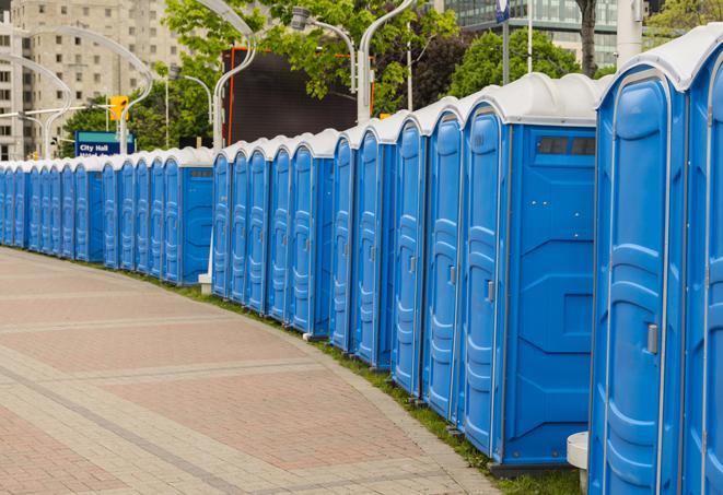 Seasonal porta potty units set up at a Asheville, North Carolina venue